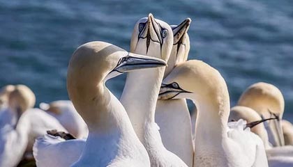 圈子不同别硬融，库追汤赛后叙旧波杰想加入，尬聊几句后悻悻离开